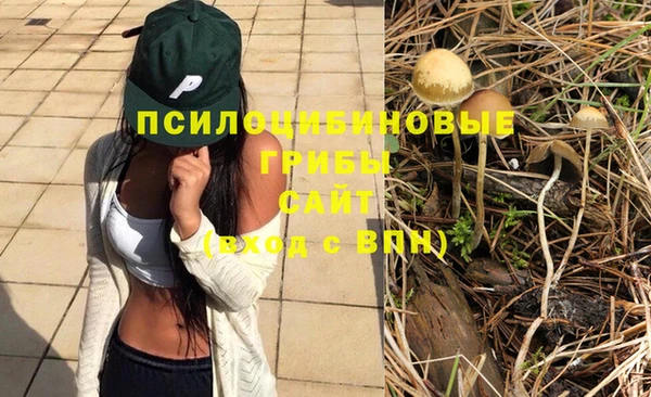наркотики Осташков