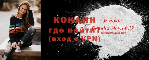 амф Арсеньев
