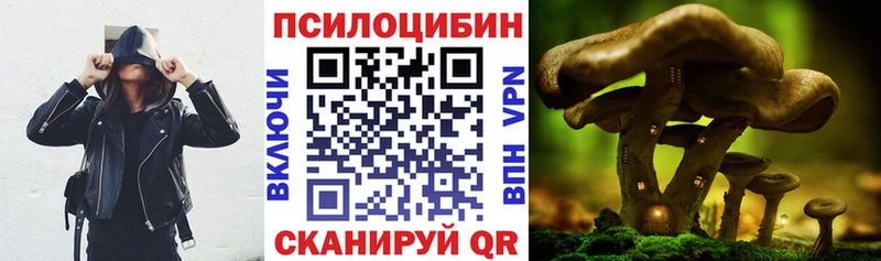 наркотики  Богучар  Псилоцибиновые грибы GOLDEN TEACHER 